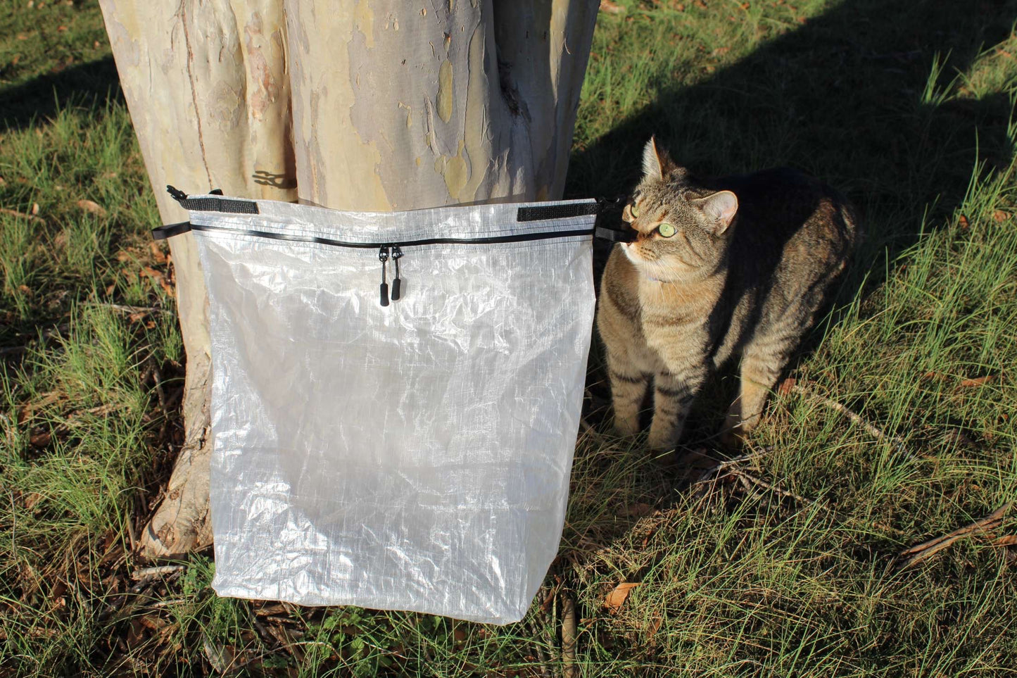 Our Quality Inspector, Kote