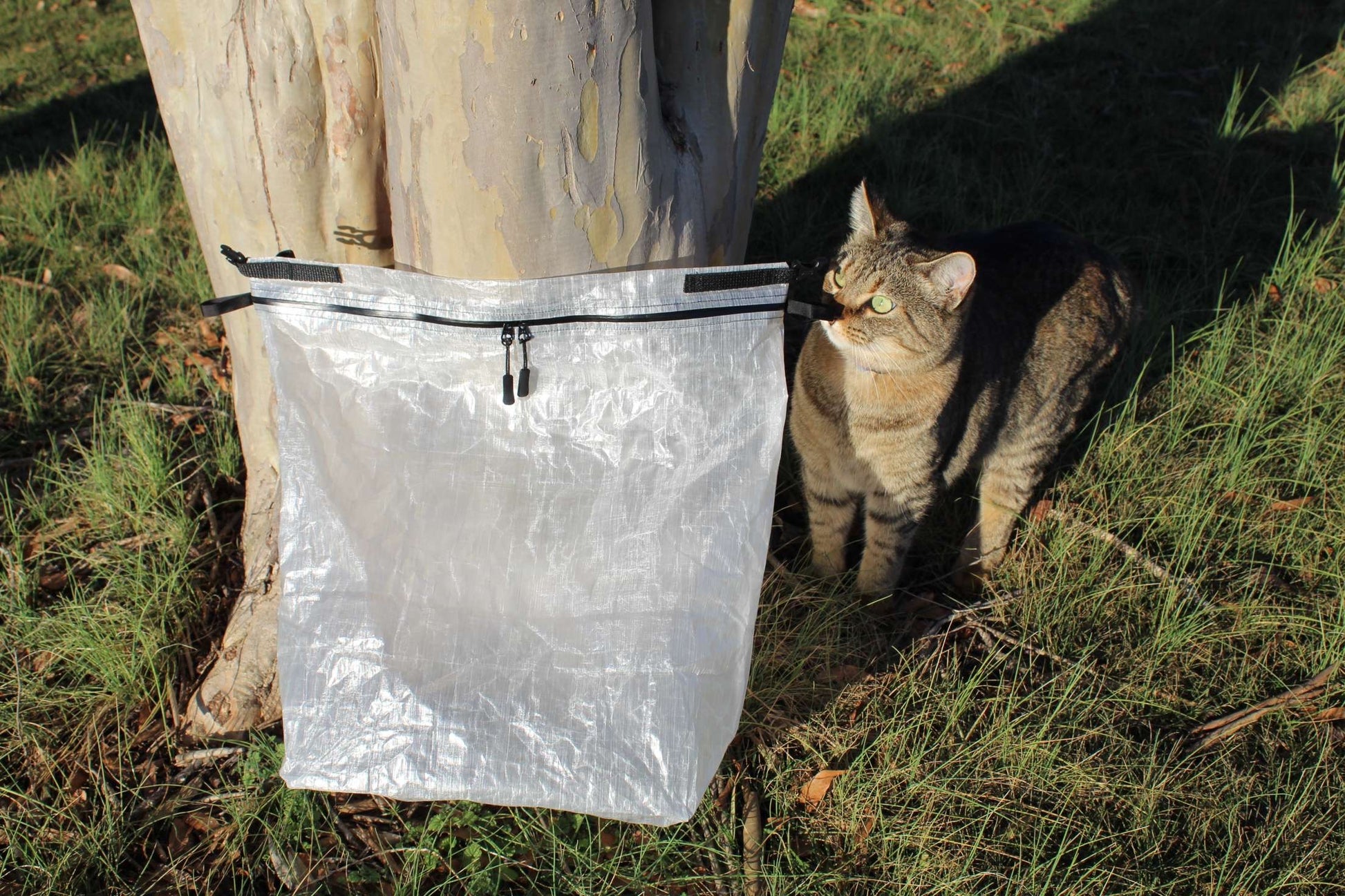 Our Quality Inspector, Kote